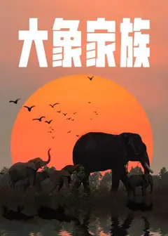 大象家族